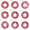 A montage of maps comparing the translation of CDS features for several Rickettsia sequences.
                    <br /><br /><a href='tutorials.html#tutorial-5'>Tutorial 5</a> describes how to make a montage of maps.