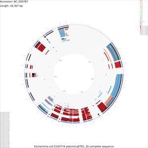 CDS_vs_CDS_x-large