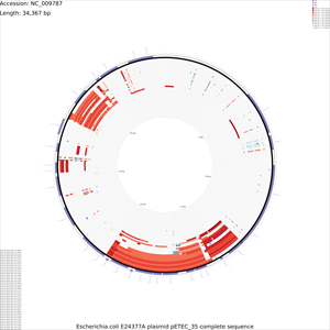 DNA_vs_DNA_x-large