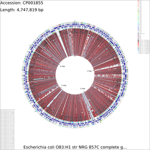 CDS_vs_CDS_medium