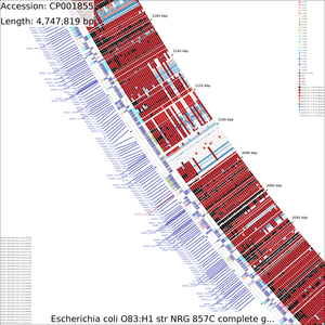 CDS_vs_CDS_medium_3100000_15