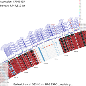 CDS_vs_CDS_medium_4450000_15