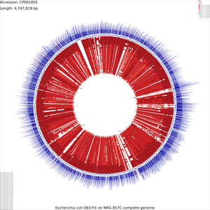 DNA_vs_DNA_x-large