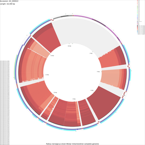 CDS_vs_CDS_large