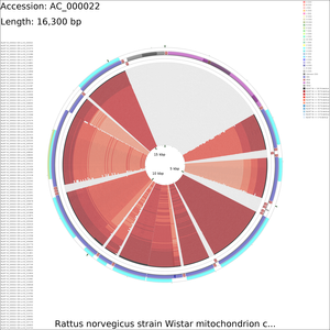 CDS_vs_CDS_medium