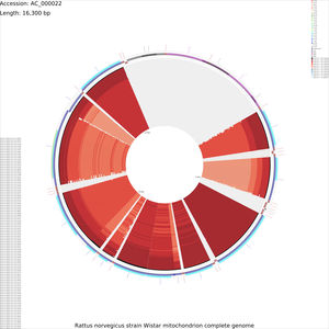 CDS_vs_CDS_x-large