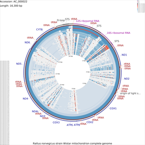 DNA_vs_DNA_x-large_altered