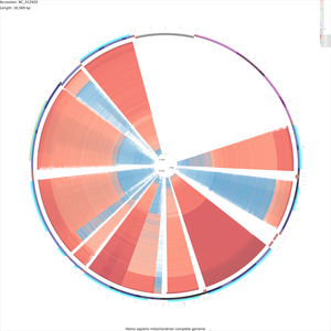 CDS_vs_CDS_x-large