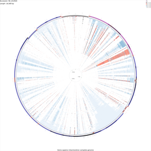 DNA_vs_DNA_x-large