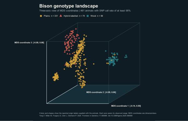 Three-axis MDS view of genotype structure among recorded plains, hybrid-labelled, and wood bison groups