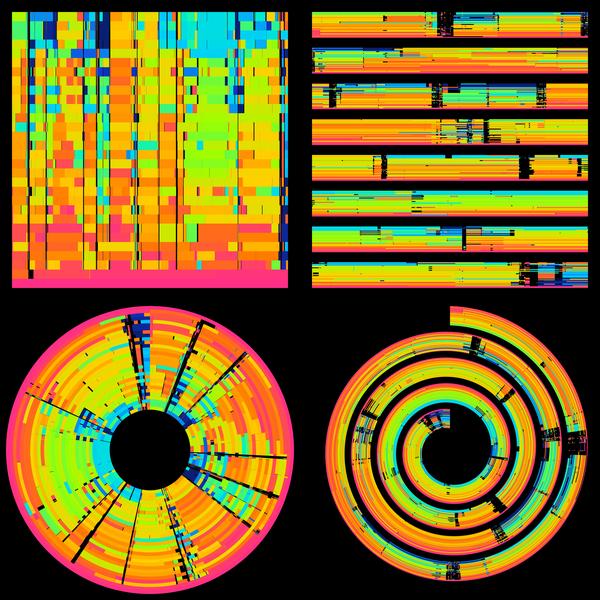 Four comparative genome visualization layouts generated with the Genome Artistry tool in Proksee