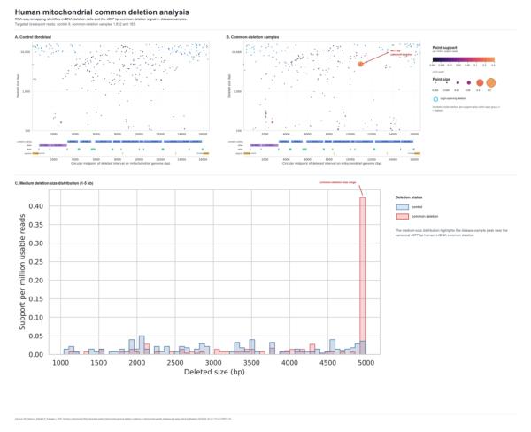 Human mitochondrial common deletion analysis comparing control and common-deletion RNA-seq samples